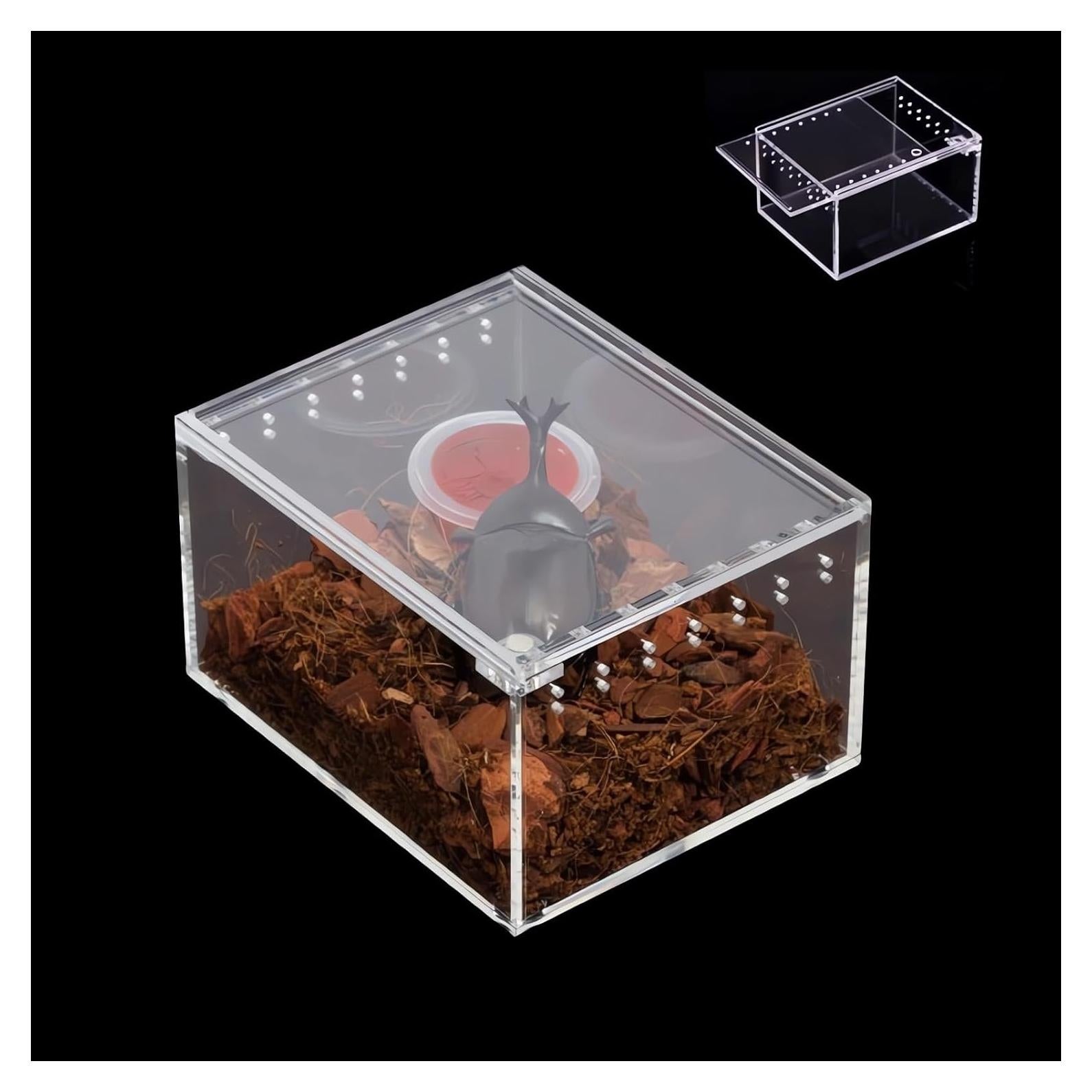 Caja de cría de insectos AWXZOM 10x8.5x6cm Acrílico Transparente