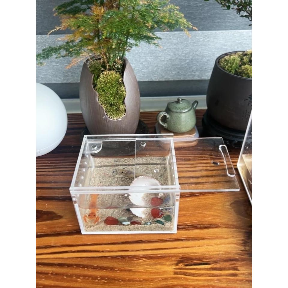 Caja de cría de insectos AWXZOM 10x8.5x6cm Acrílico Transparente