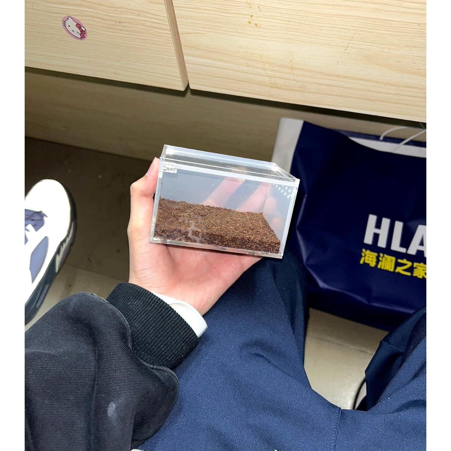 Caja de cría de insectos AWXZOM 10x8.5x6cm Acrílico Transparente