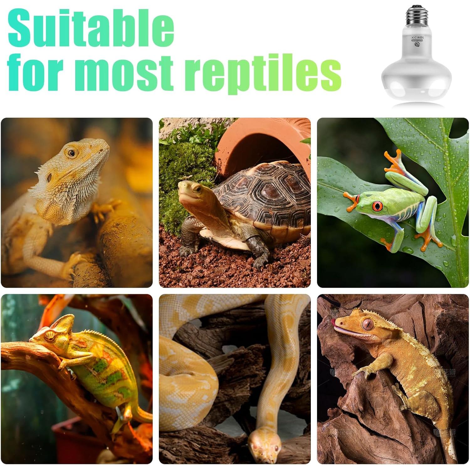 Lámpara de Calor para Reptiles REPTI HOME 50W 2Pack UVA