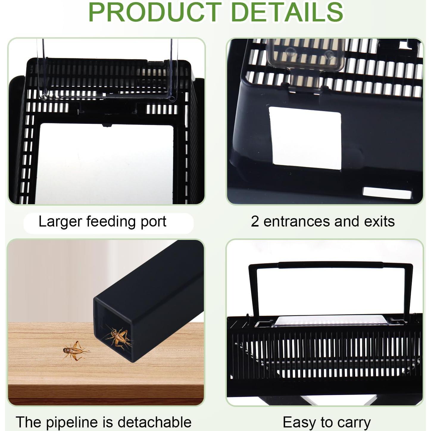 Cuidador de Grillos NANEEZOO Mediano con Plato de Agua y Comida