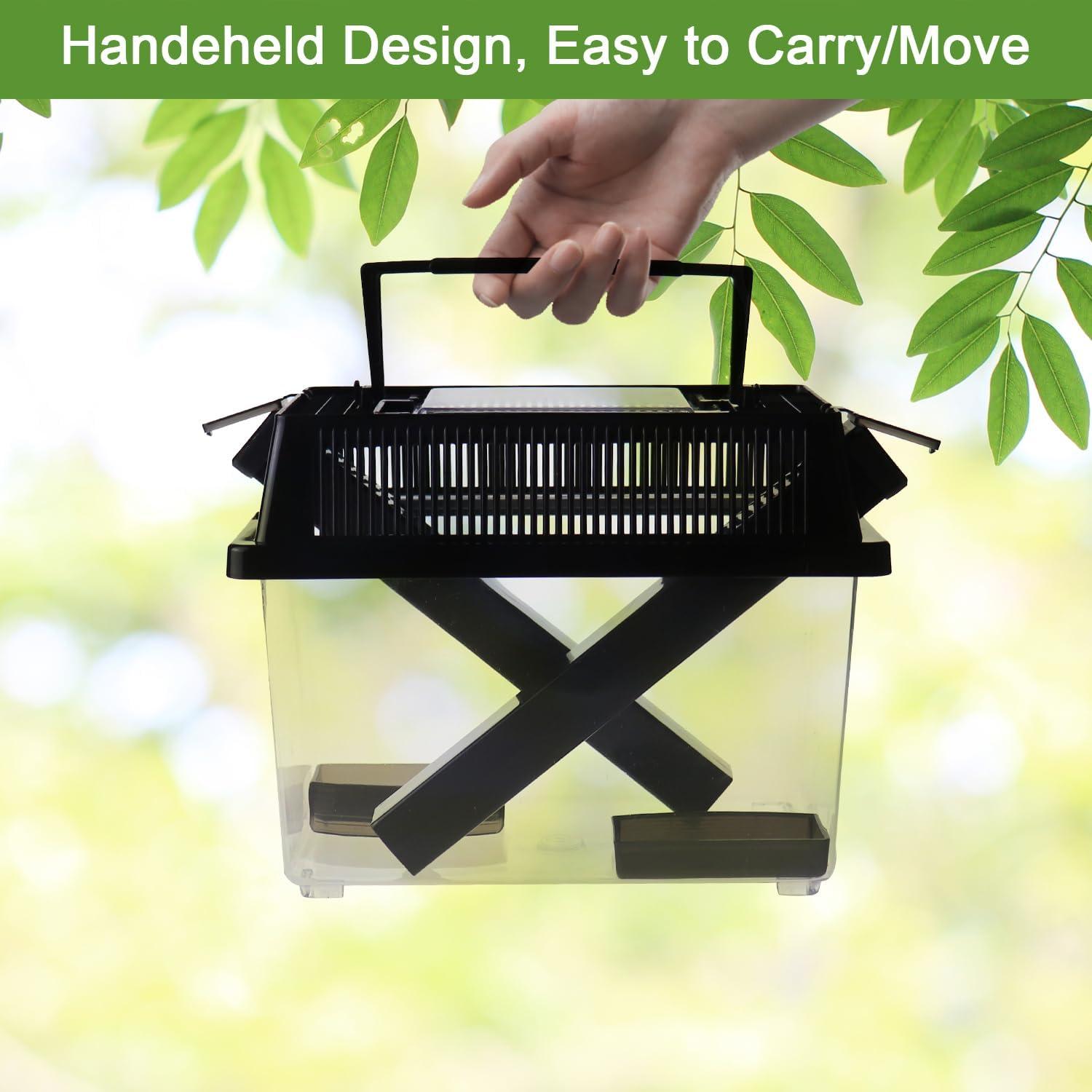 Cuidador de Grillos NANEEZOO Mediano con Plato de Agua y Comida