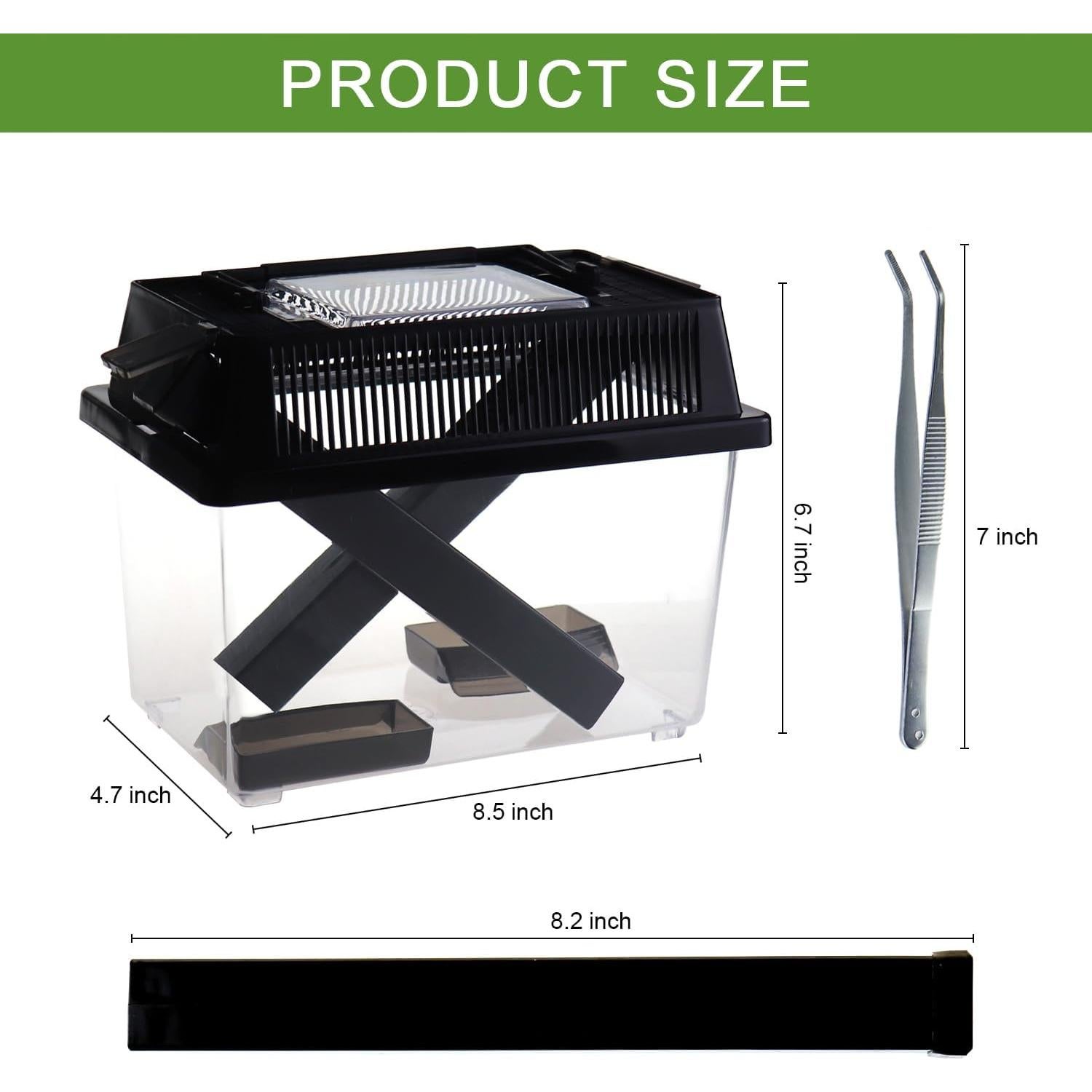 Cuidador de Grillos NANEEZOO Mediano con Plato de Agua y Comida