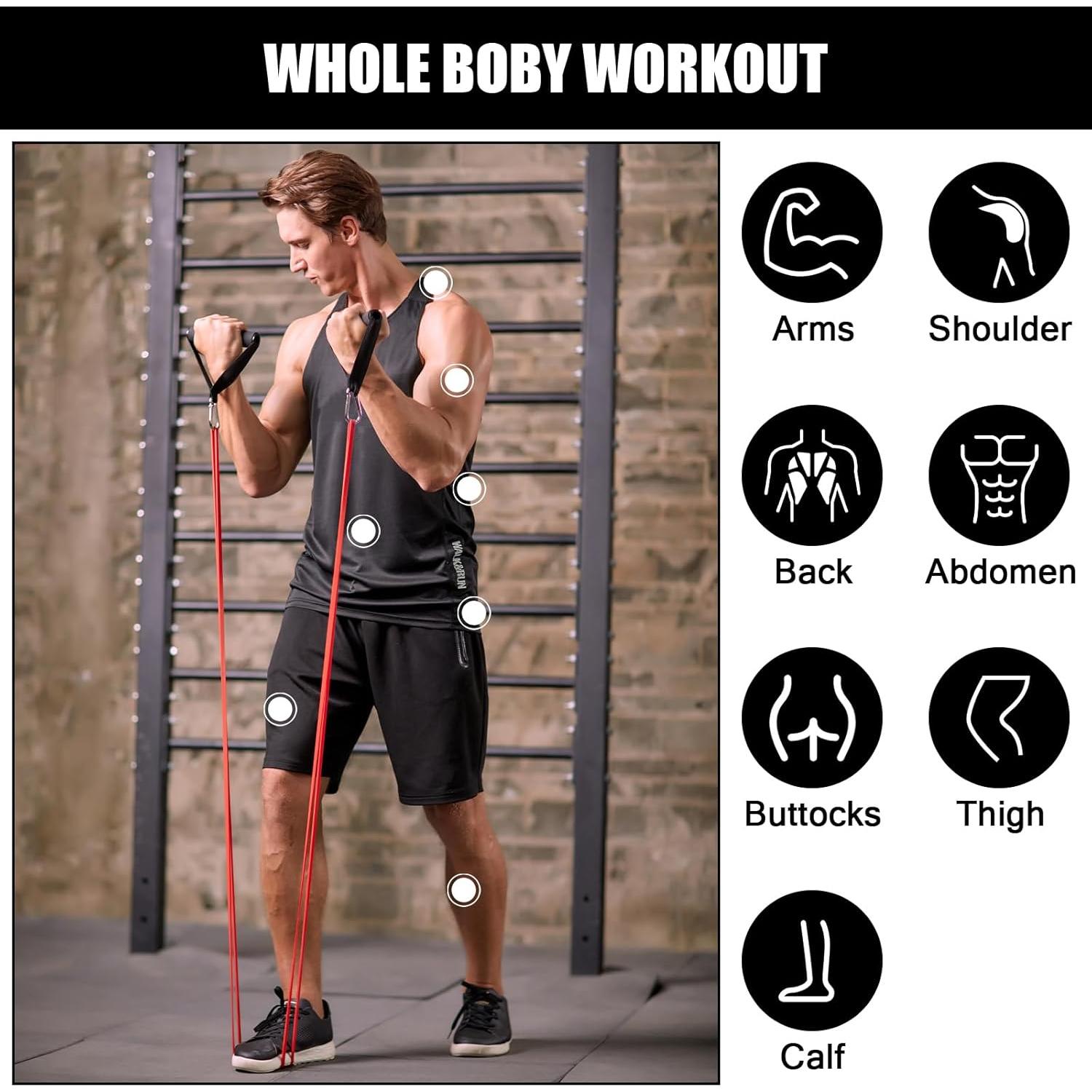 Conjunto de 5 Bandas de Resistencia Odoland para Ejercicio