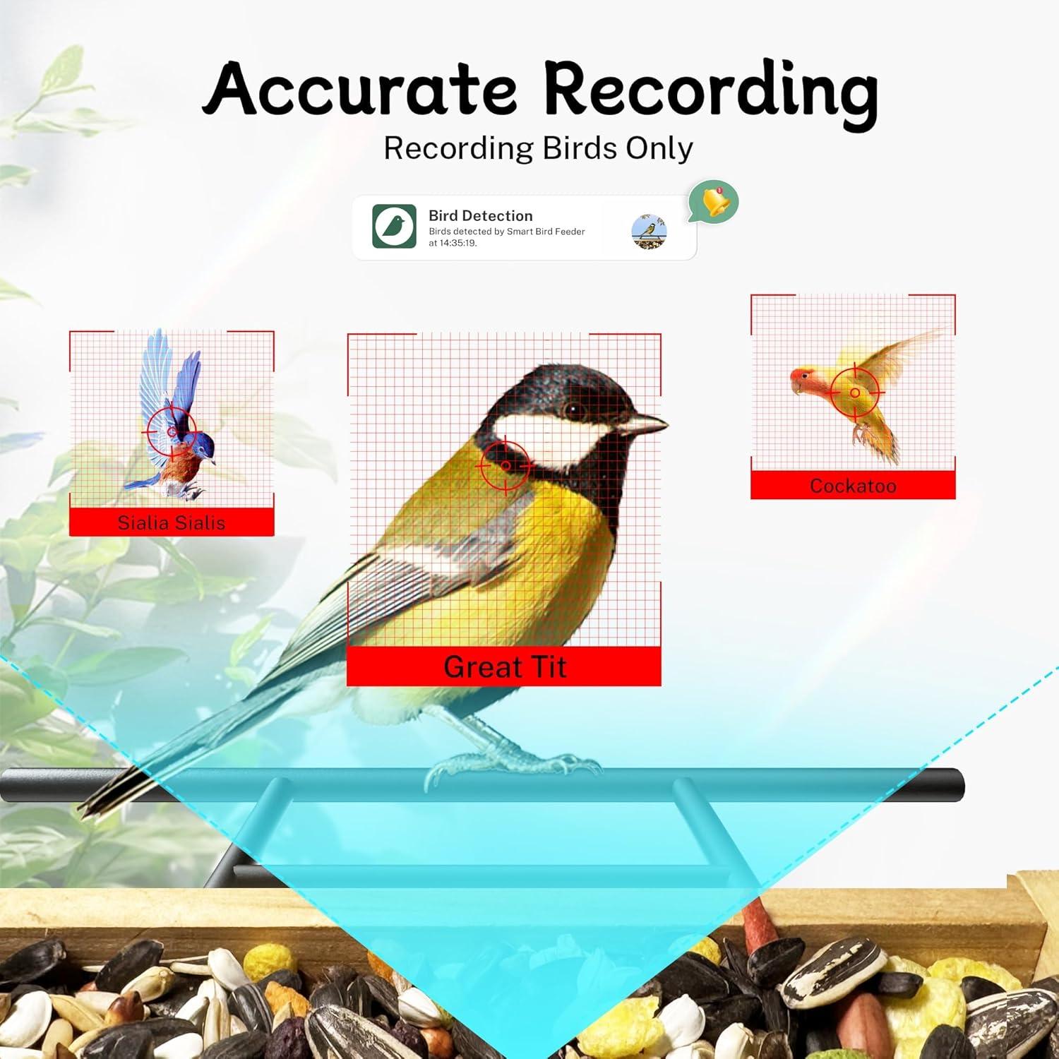 Alimentador de Aves Inteligente TT Nature con Cámara 1.5L