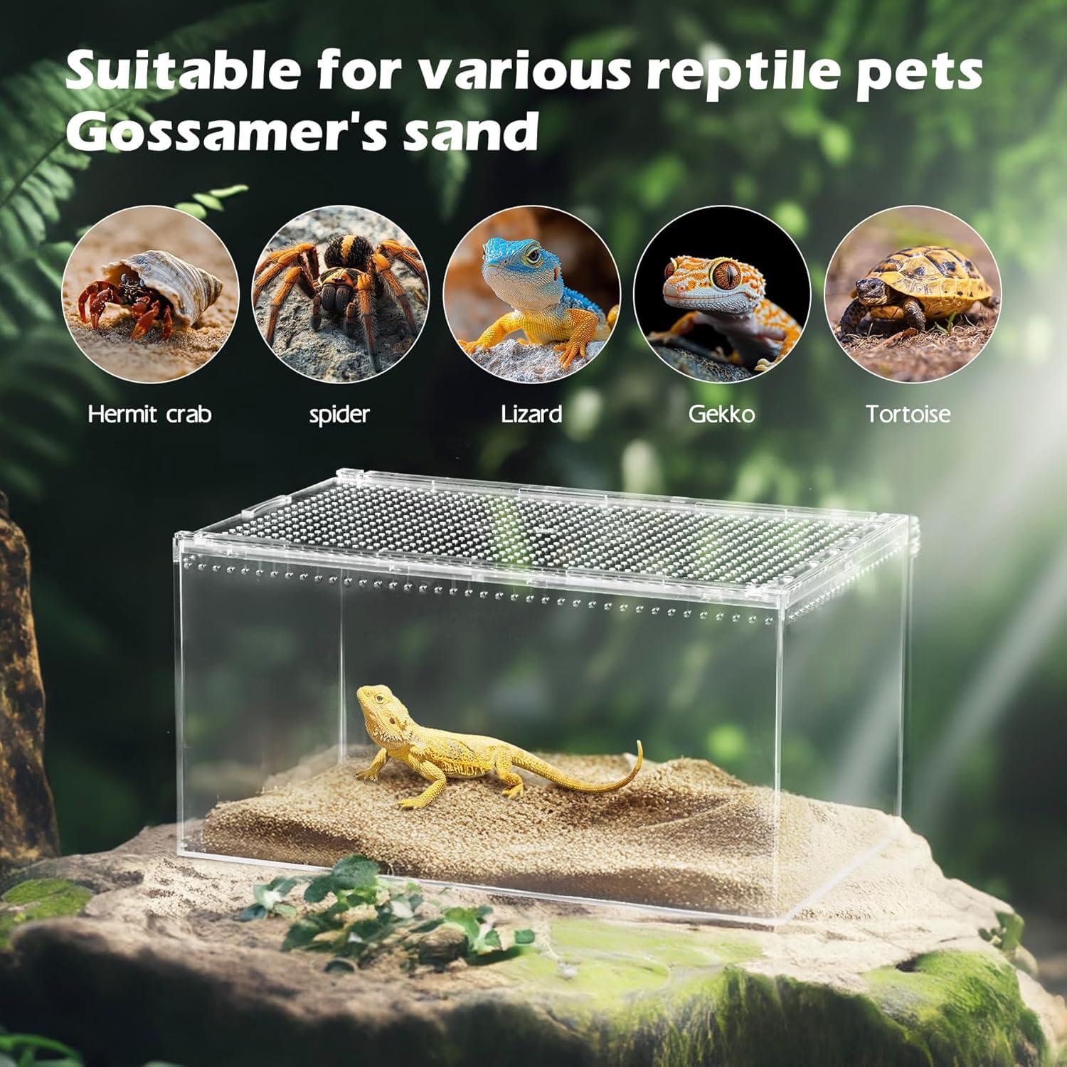 Tanque de Terrario AZV Reptile 20x15x10 cm para Gecko y Tarantula