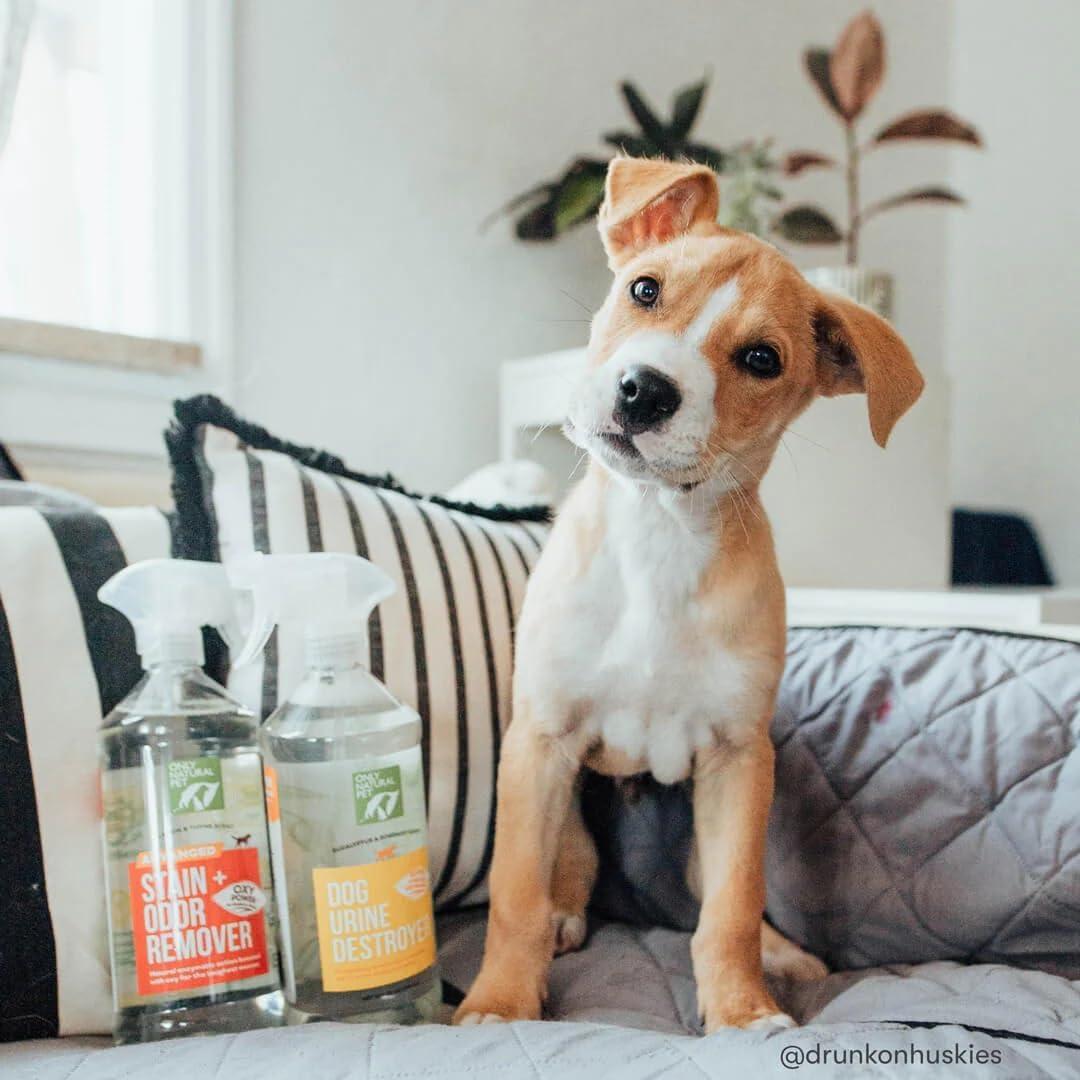 Eliminador de Manchas y Olores para Perros Solo Natural 1L