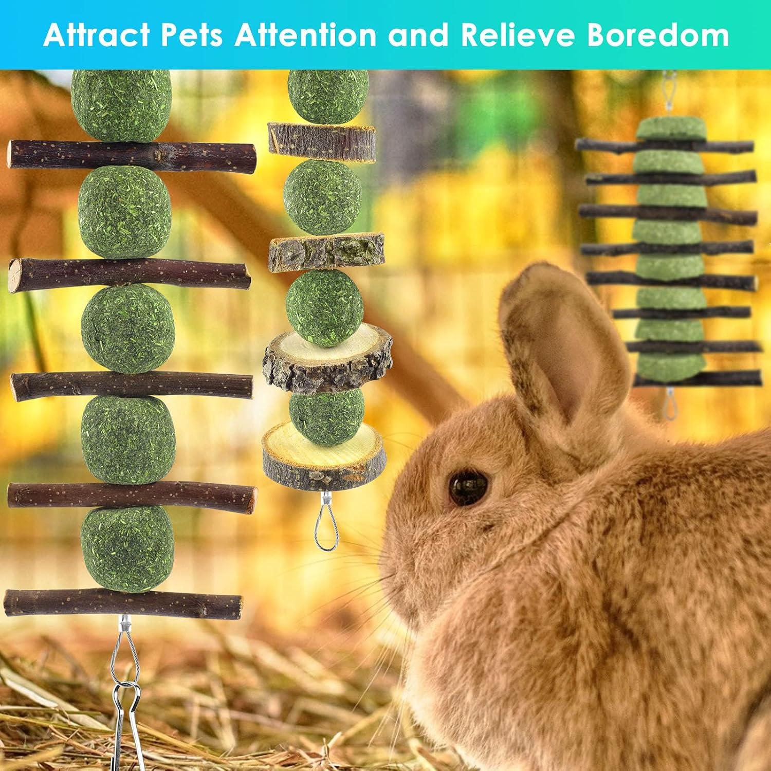 Juguetes de Masticar para Conejos ERKOON - 3 Pcs de Madera