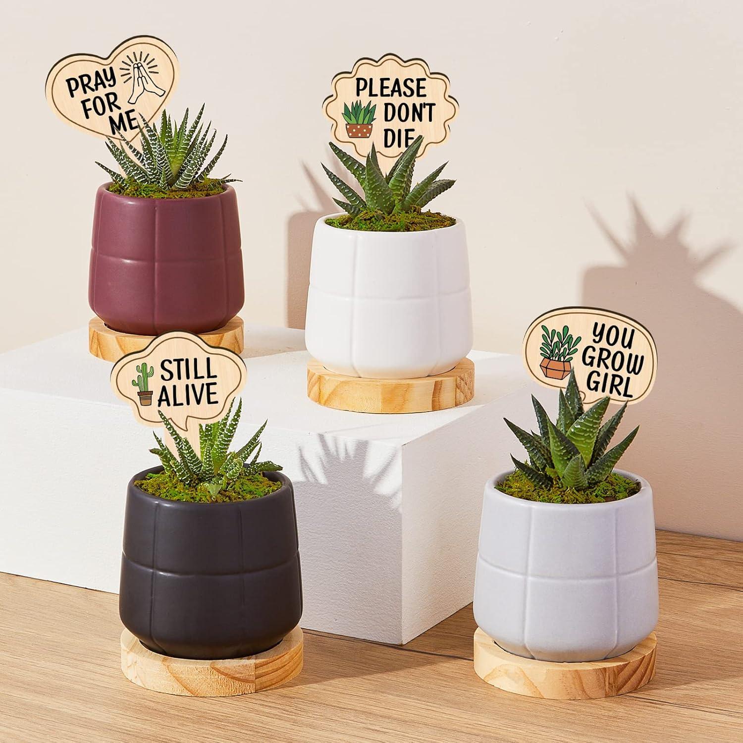 Marcadores de Plantas de Madera Huray Rayho 15-Pack Multicolor