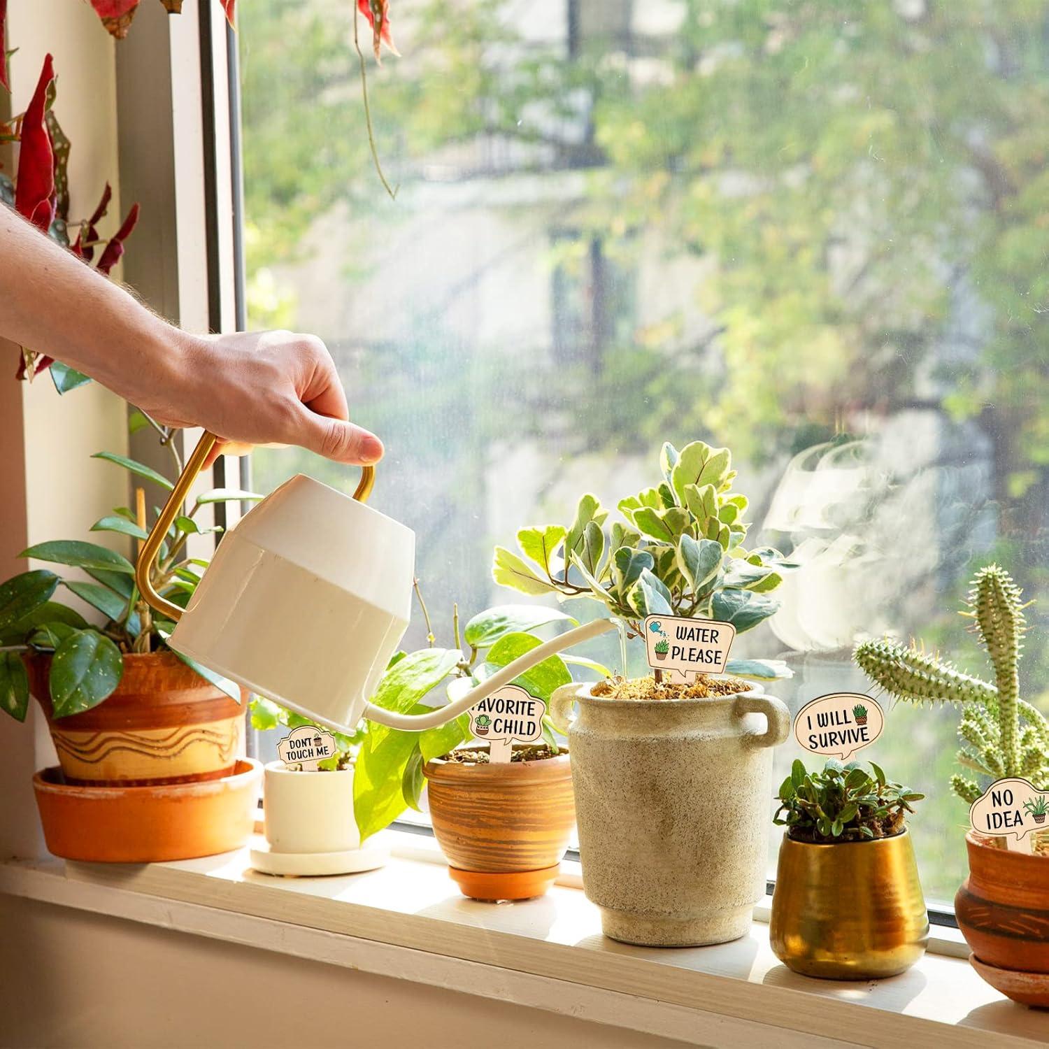 Marcadores de Plantas de Madera Huray Rayho 15-Pack Multicolor