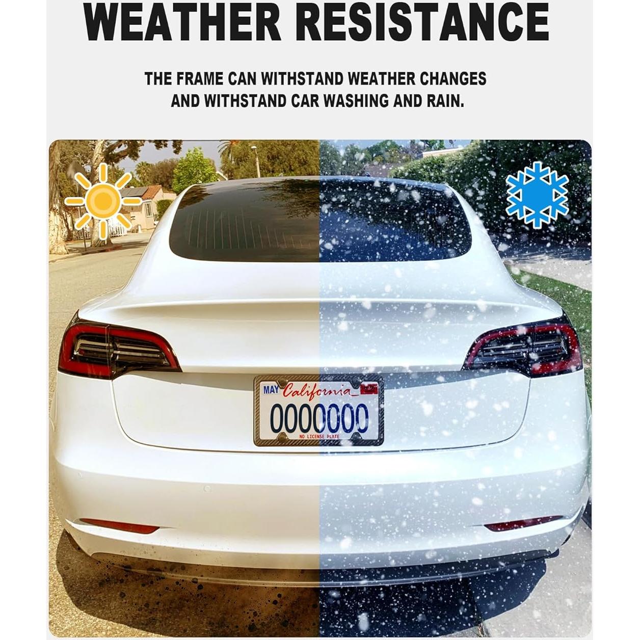 Marco de Placa de Licencia BGGTMO Fibra de Carbono 31.2x16cm