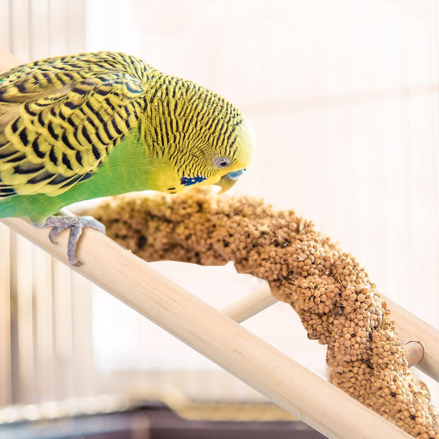 Escalera de Madera para Aves Kigeli - 6 Piezas, Juguete para Loros