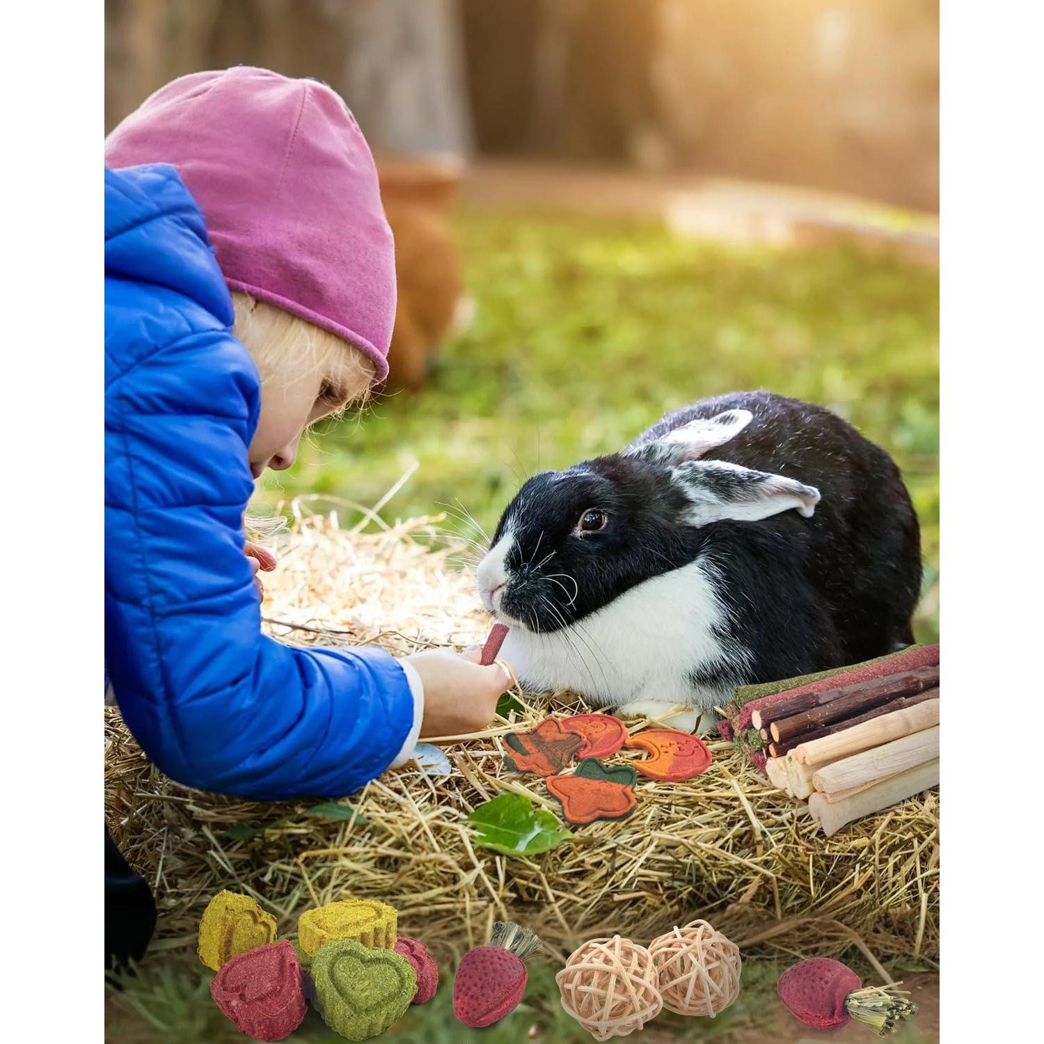 Juguetes de Masticar para Conejos ERKOON 33 Piezas Naturales