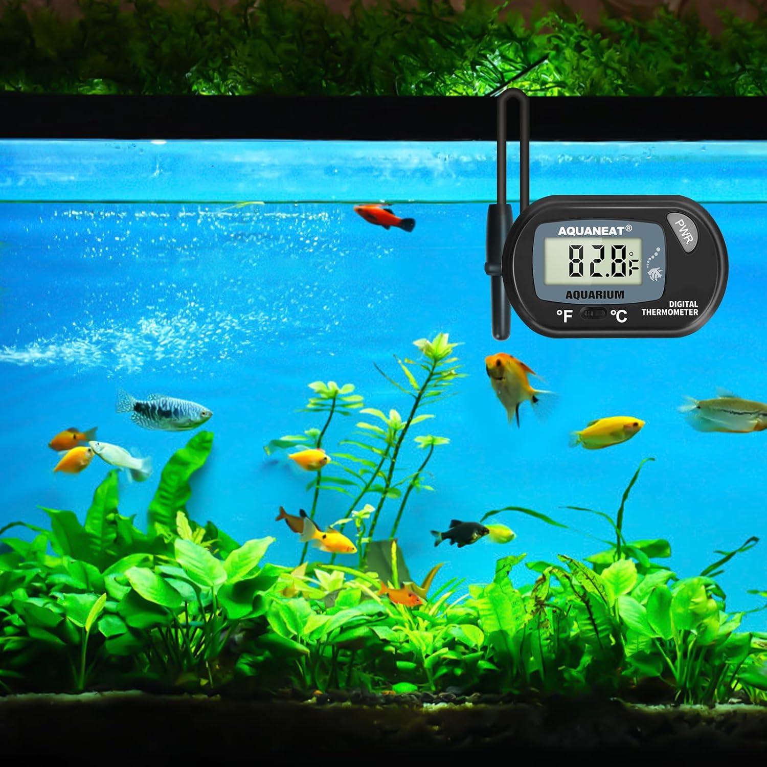 Termómetro Digital AQUANEAT para Acuario - Rango -50°C a +70°C
