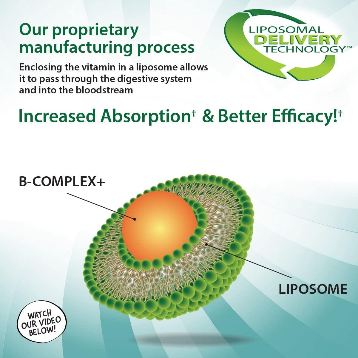 Aurora Nutrascience Mega-Liposomal B-Complejo + Vitamina C 473 ml