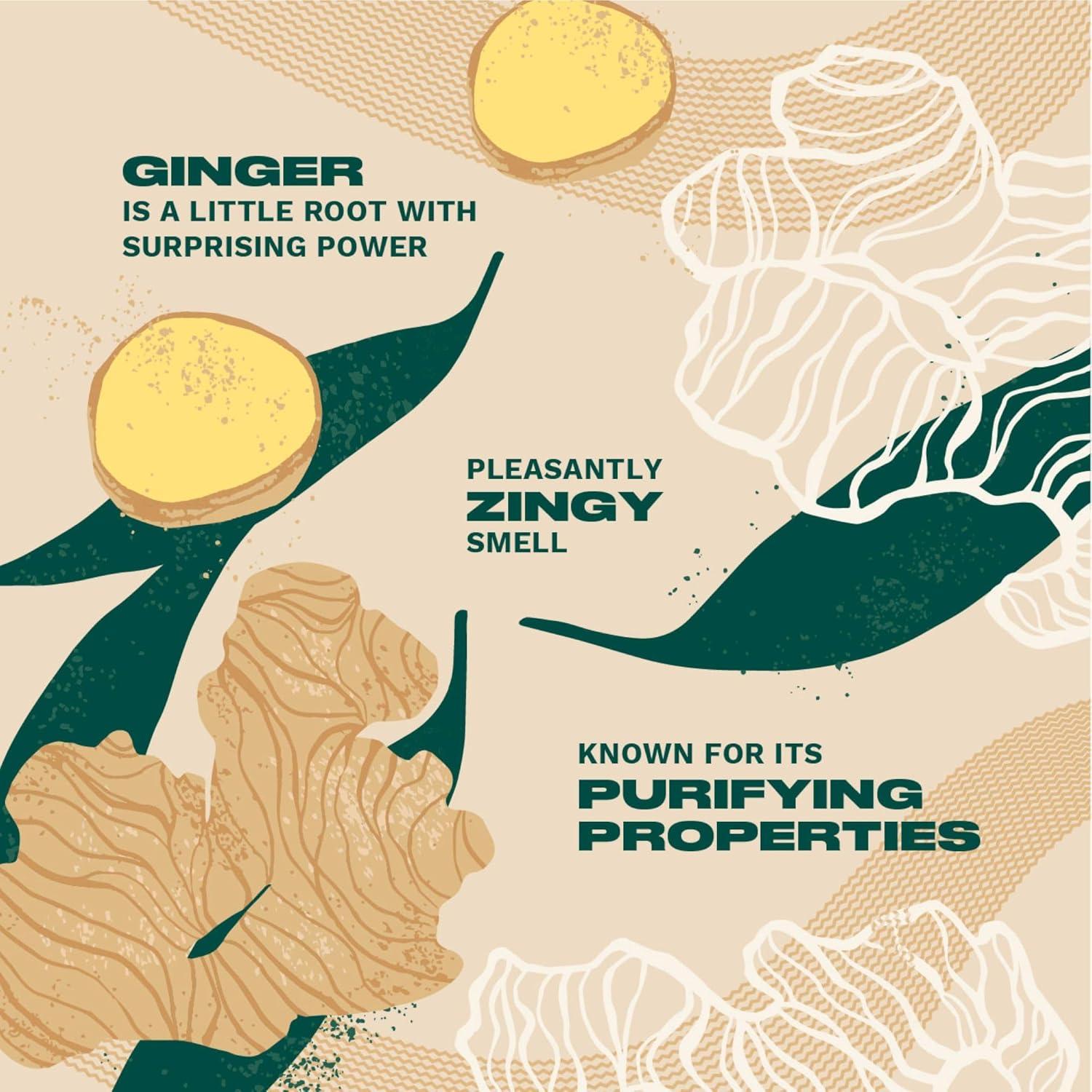 Acondicionador para Cuero Cabelludo The Body Shop Jengibre 248 ml