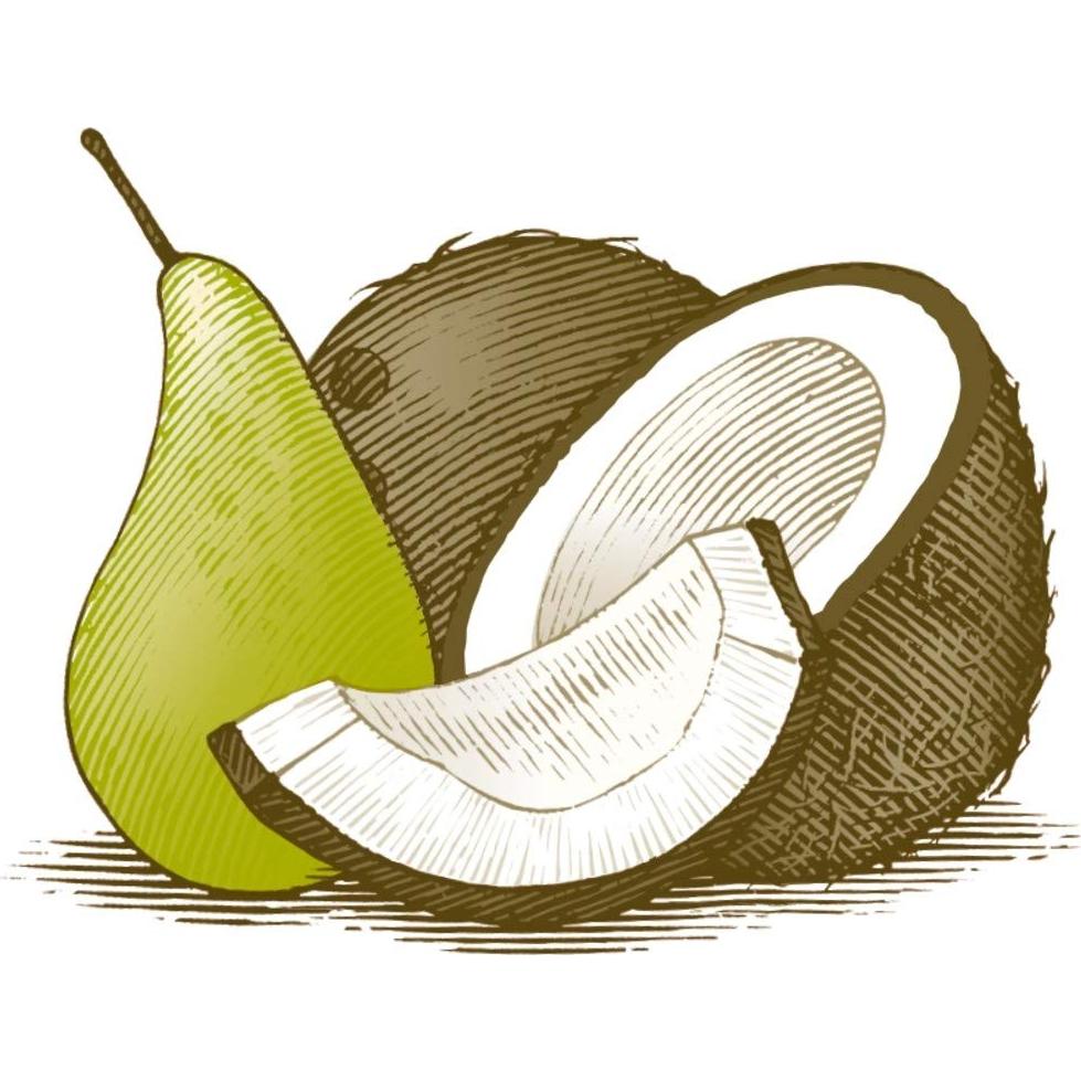 Bálsamo Labial Burt's Bees Coco y Pera - Hidratante Natural 2 Tubos