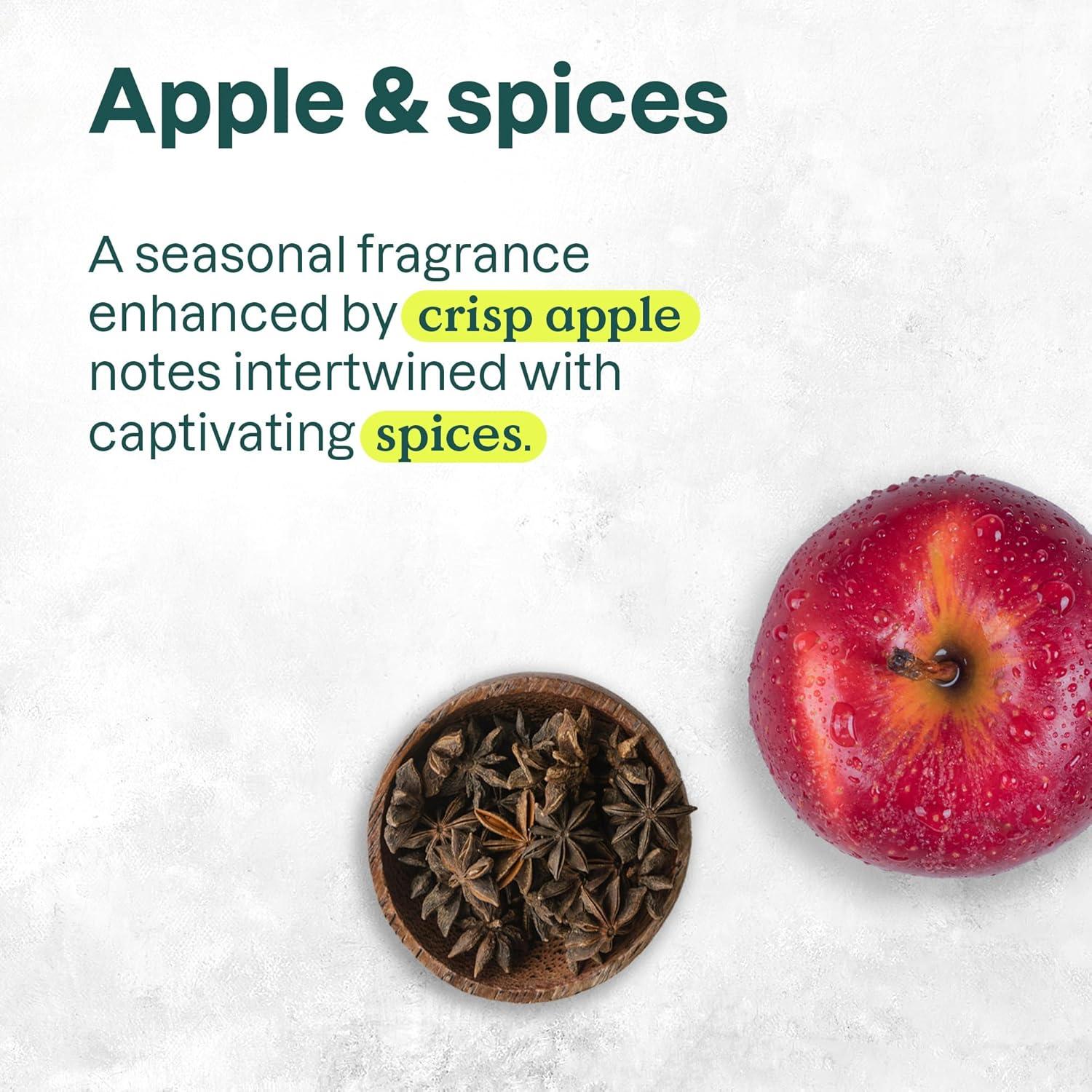 Jabón Líquido para Manos ATTITUDE 473 ml Manzana y Especias