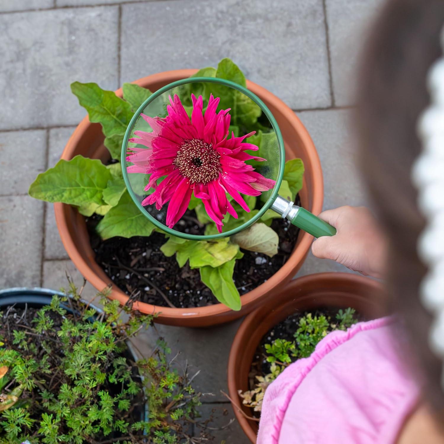 Lupa BigEye Carson HU-20AMMU Juego de 10 Lentes 12.7 cm 2x