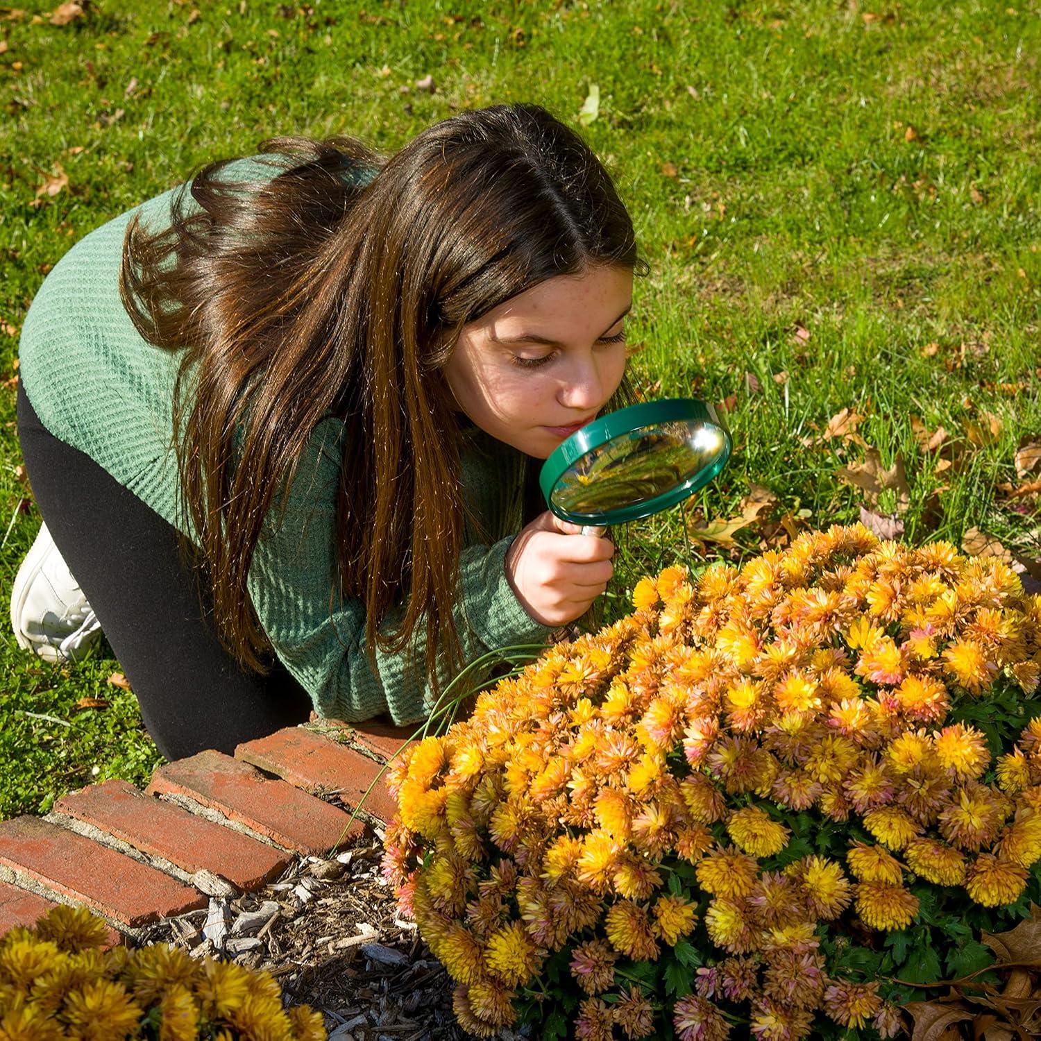 Lupa BigEye Carson HU-20AMMU Juego de 10 Lentes 12.7 cm 2x