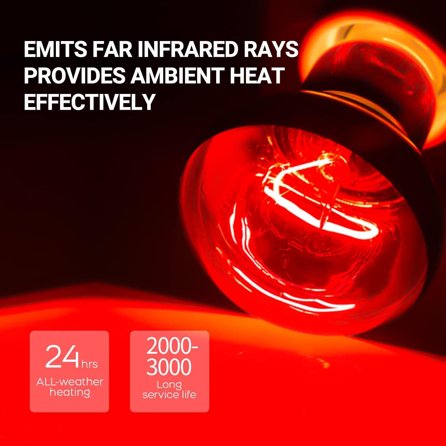 Bombilla de Calor para Reptiles REPTIZOO 75W UVA y Infrarroja