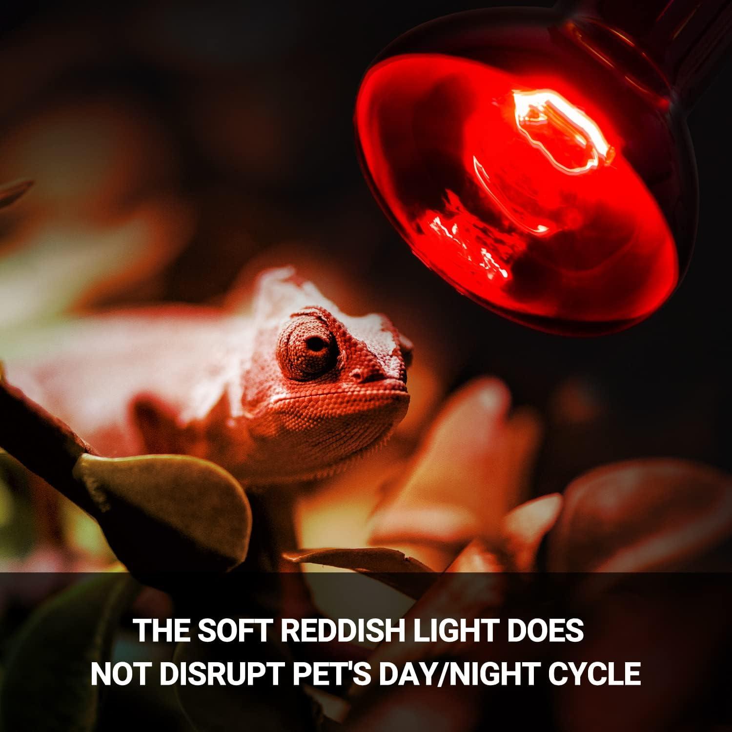 Bombilla de Calor para Reptiles REPTIZOO 75W UVA y Infrarroja