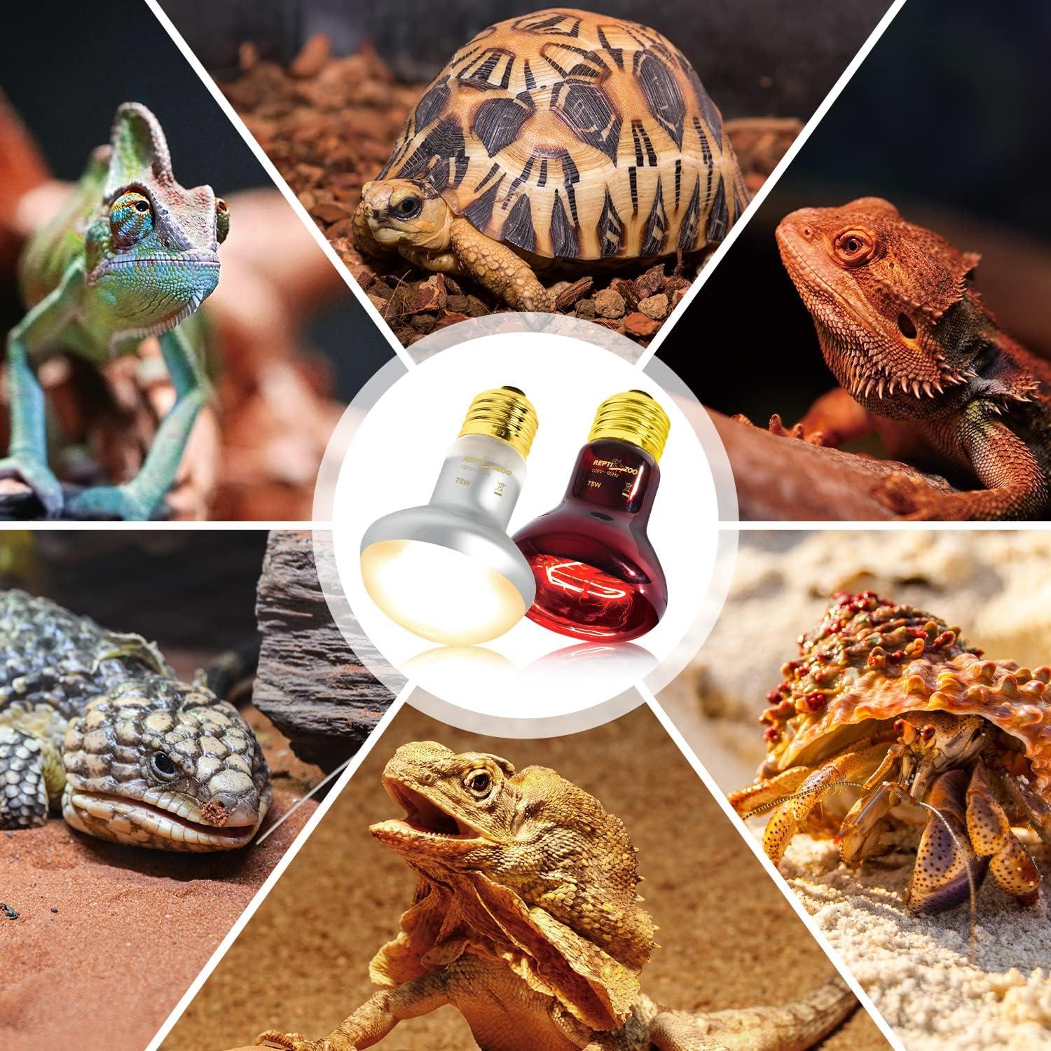 Bombilla de Calor para Reptiles REPTIZOO 75W UVA y Infrarroja