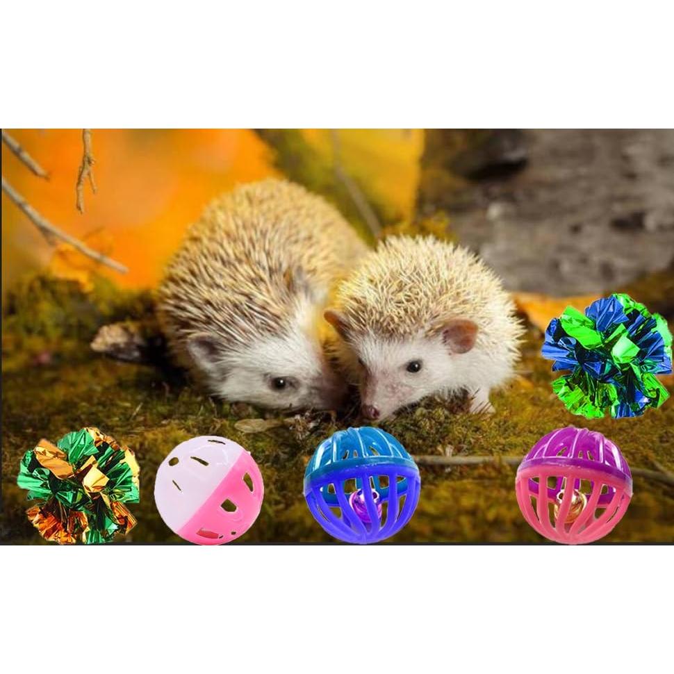 Juguetes para Erizos VZqola - Set Interactivo 2.54 cm