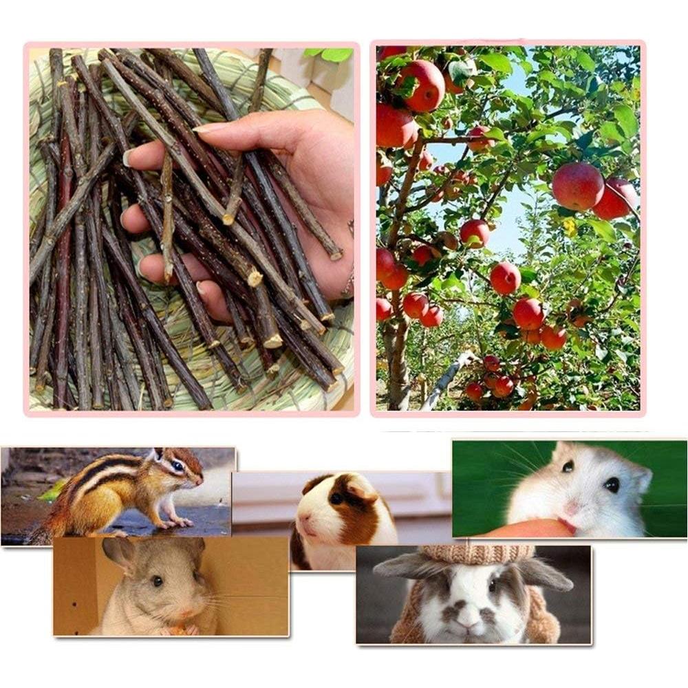 Palitos de Manzana 250g para Animales Pequeños Bojafa