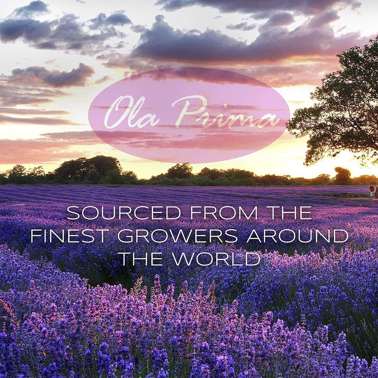 Aceite Esencial de Bergamota Ola Prima - 118 ml - Grado Terapéutico