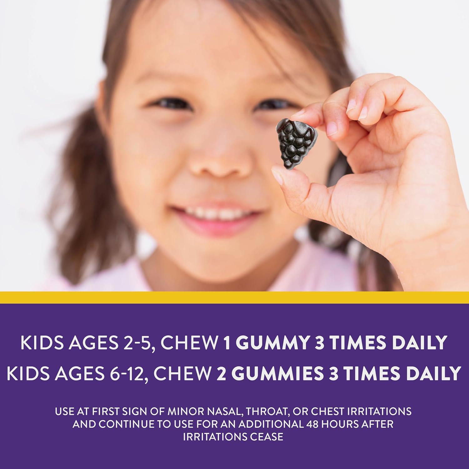 Gomas Inmunológicas Nature's Way Sambucus Kids 36 Unidades