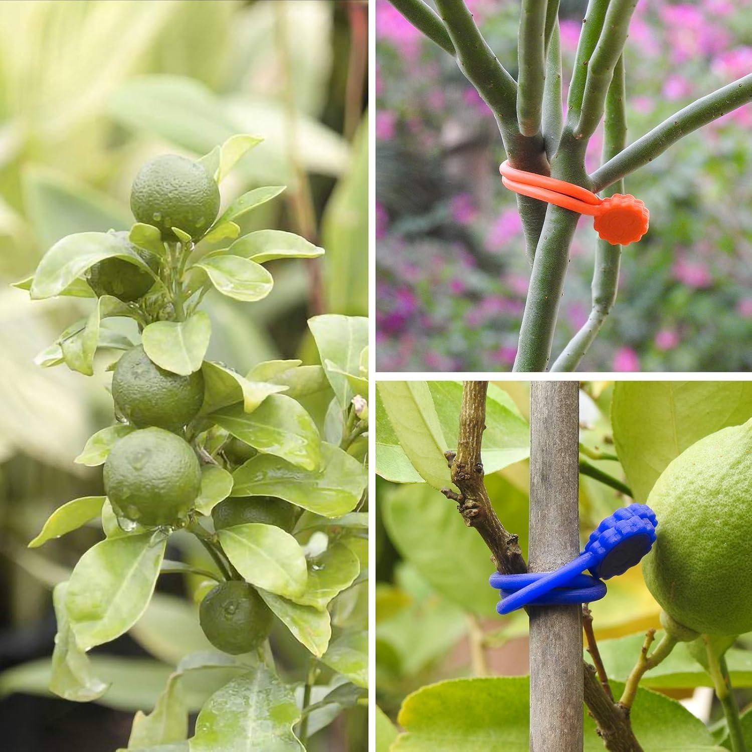 Corbatas Magnéticas Rich&Ray 20 Piezas Silicona 10 Colores