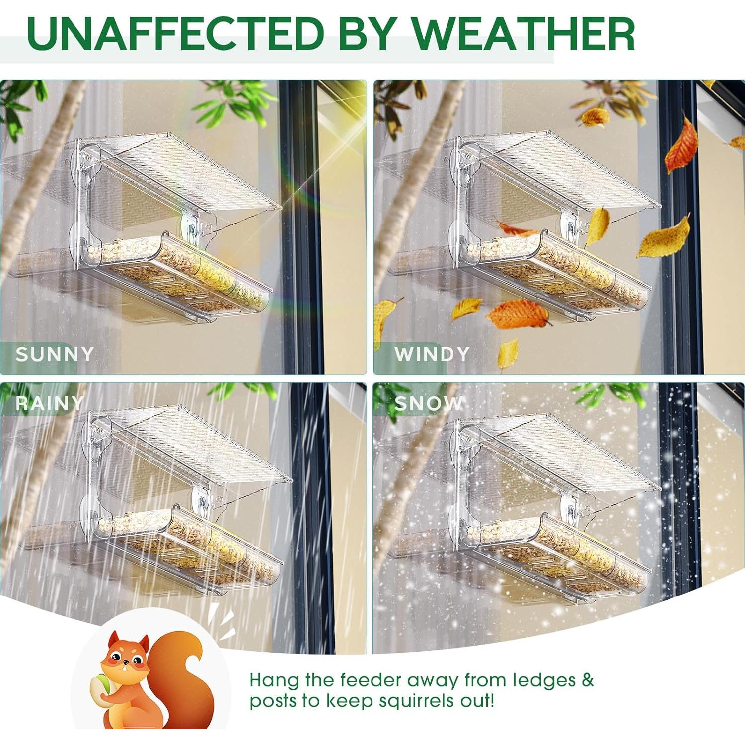 Comedero para Aves de Ventana SUNALLY 0.48L Transparente