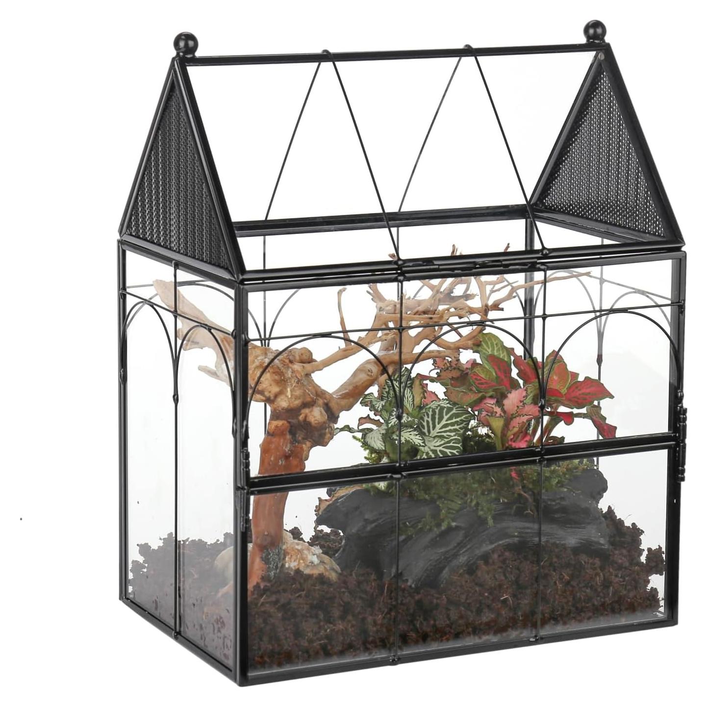 Terrario de Vidrio NCYP 19x12.5x23 cm para Insectos y Arañas