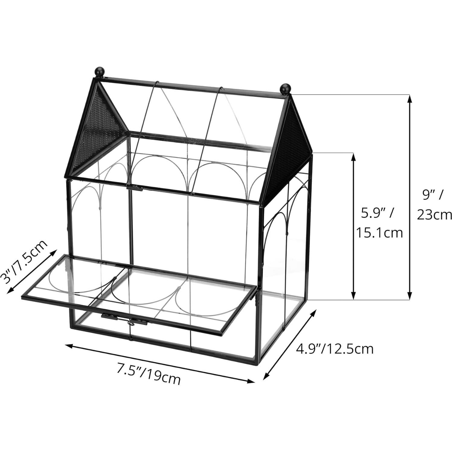 Terrario de Vidrio NCYP 19x12.5x23 cm para Insectos y Arañas