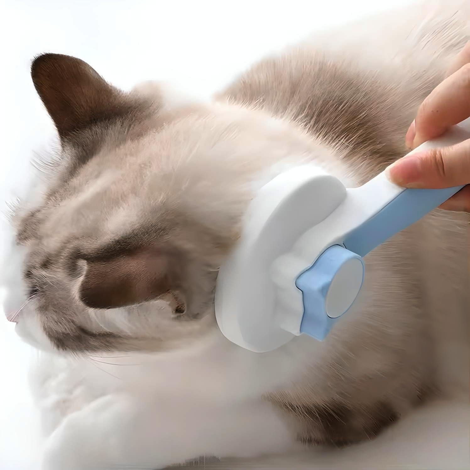 Cepillo Acicalador Suave S Y Technology para Gatos y Perros Azul