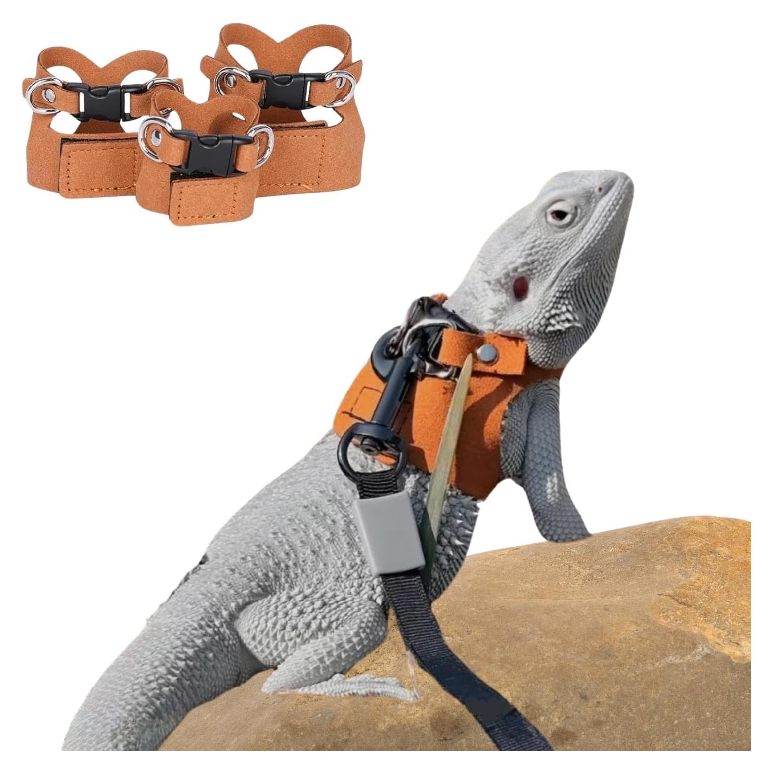 Juego de Arnés y Correa Retráctil SEZDEKI para Dragón Barbudo