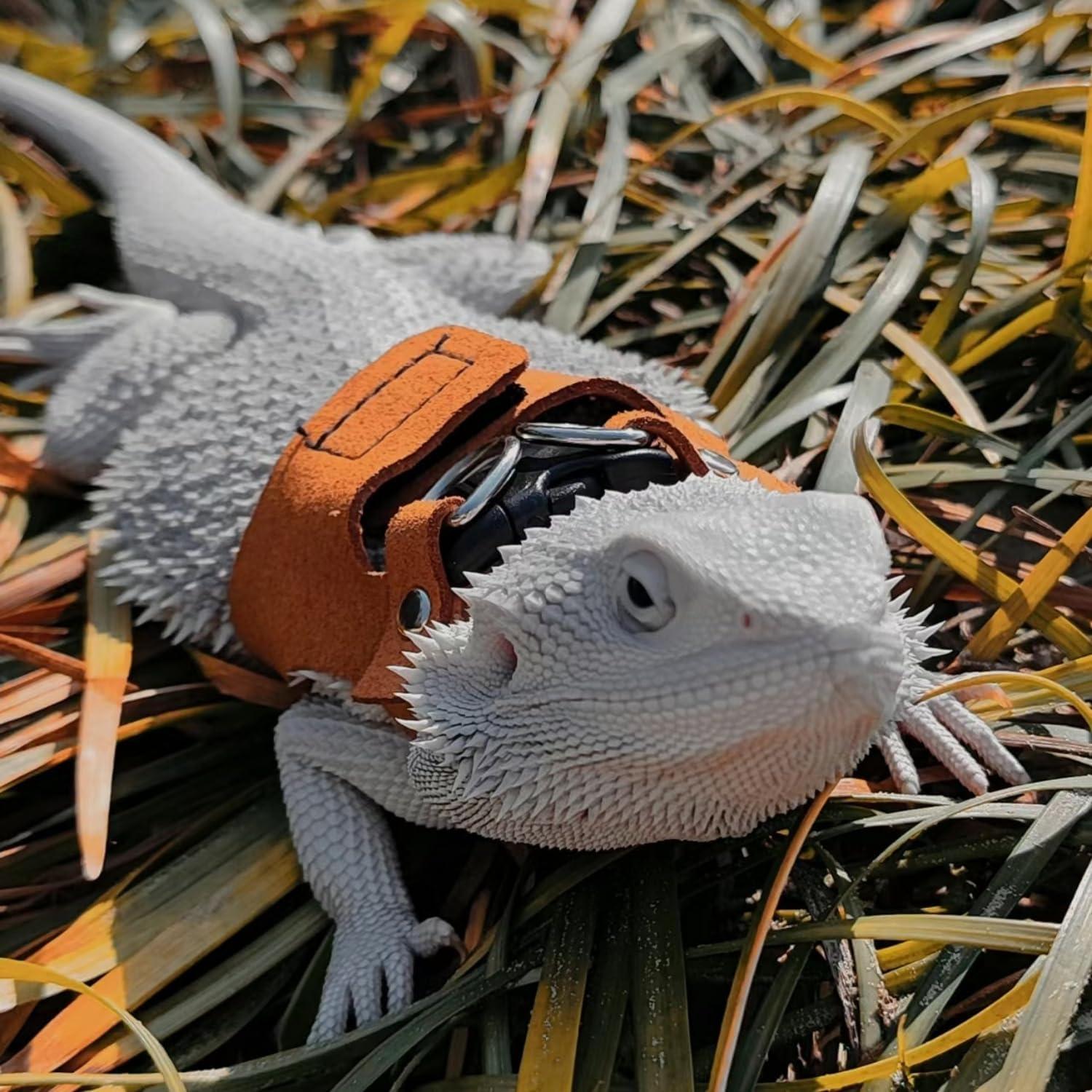 Juego de Arnés y Correa Retráctil SEZDEKI para Dragón Barbudo