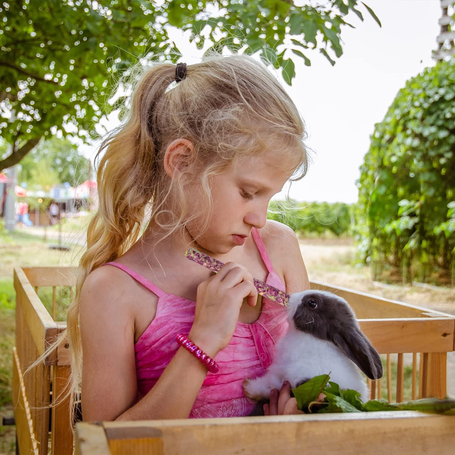 Golosinas de Heno Timothy Sofier 20pcs Masticables Naturales