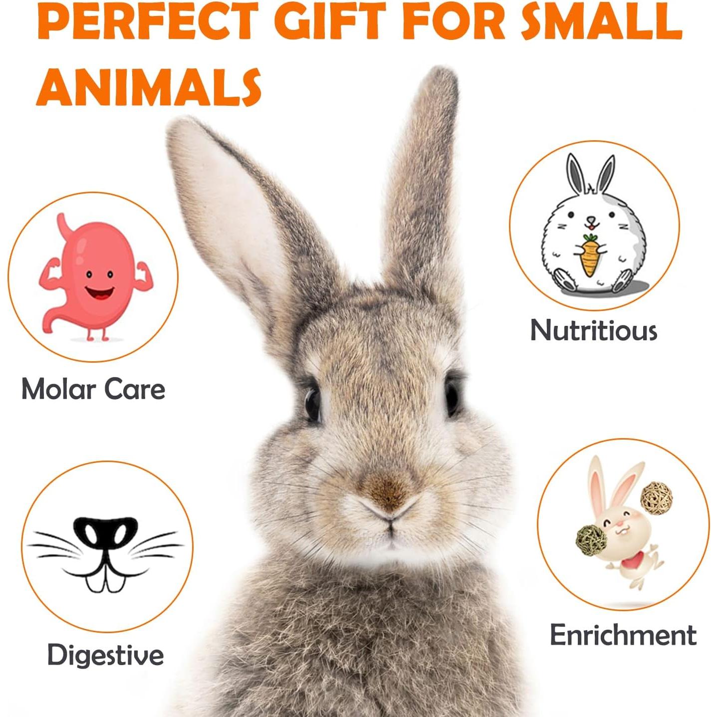 Golosinas de Heno Timothy Sofier 20pcs Masticables Naturales