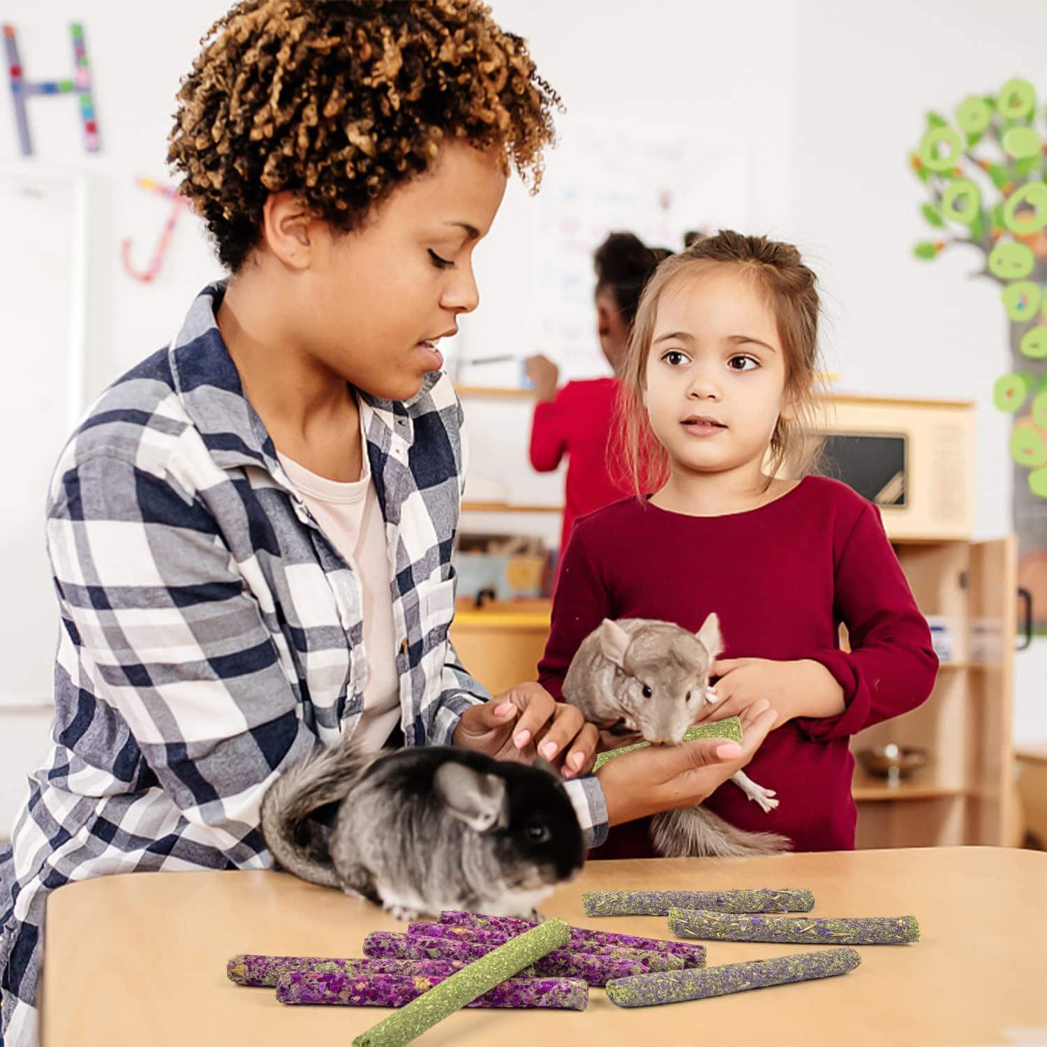 Golosinas de Heno Timothy Sofier 20pcs Masticables Naturales