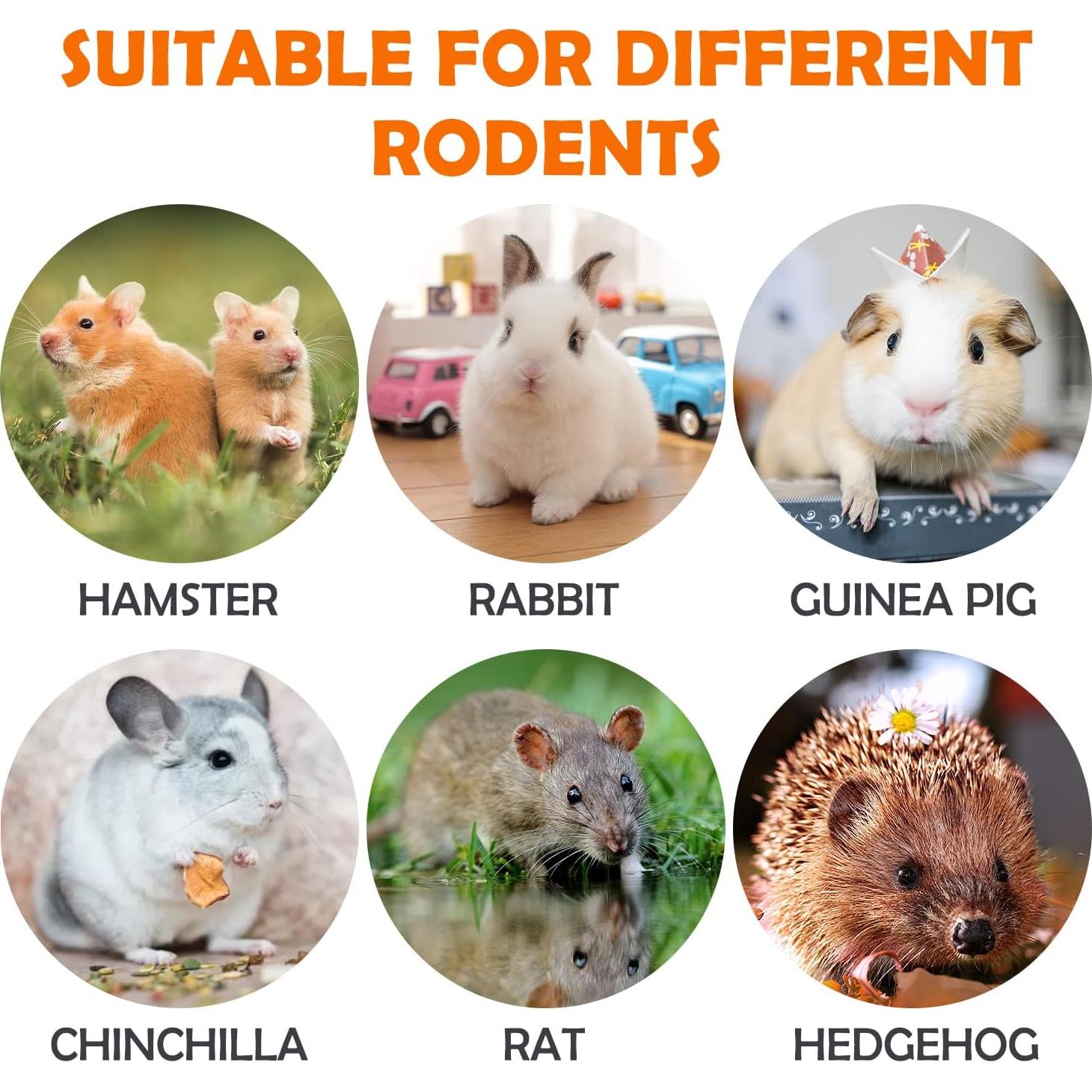 Golosinas de Heno Timothy Sofier 20pcs Masticables Naturales