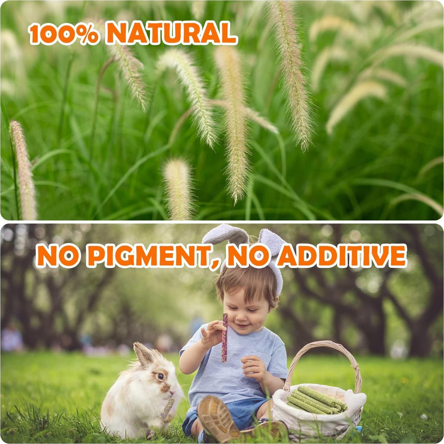 Golosinas de Heno Timothy Sofier 20pcs Masticables Naturales