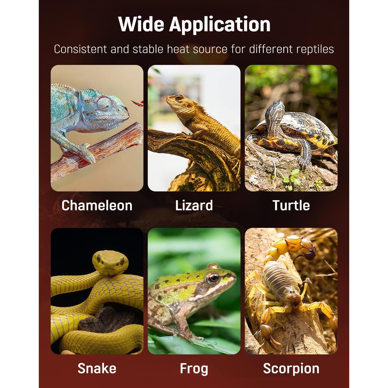 Almohadilla Térmica Pawfly 5W para Reptiles 15.24x13.97cm