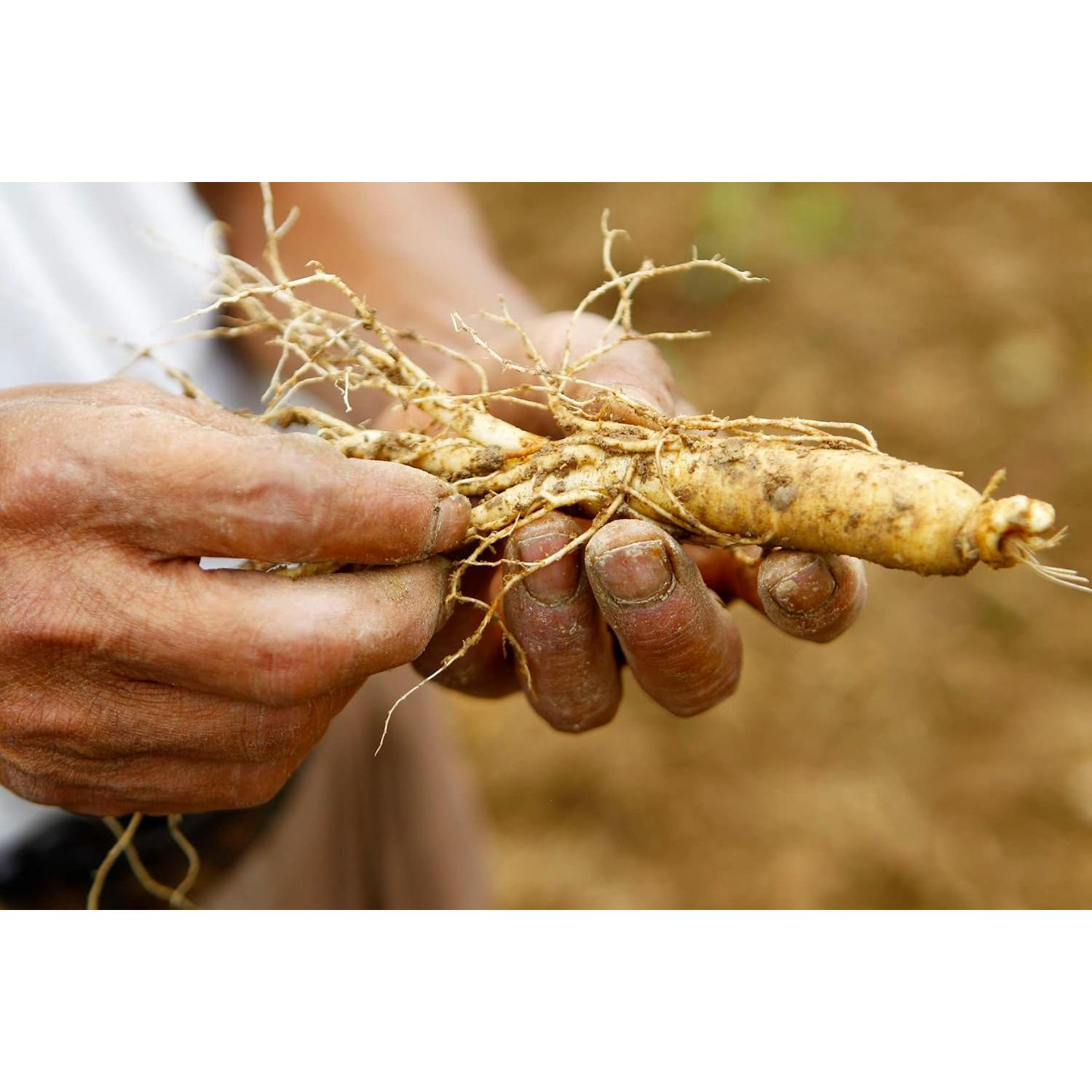 Jabón Desodorante Natural de Caqui Ladybug 6 Barras 184g