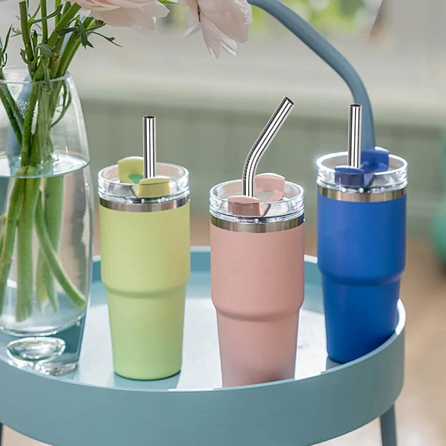 Paquete de 6 Pajitas de Acero Inoxidable Gdsinstna 30 cm