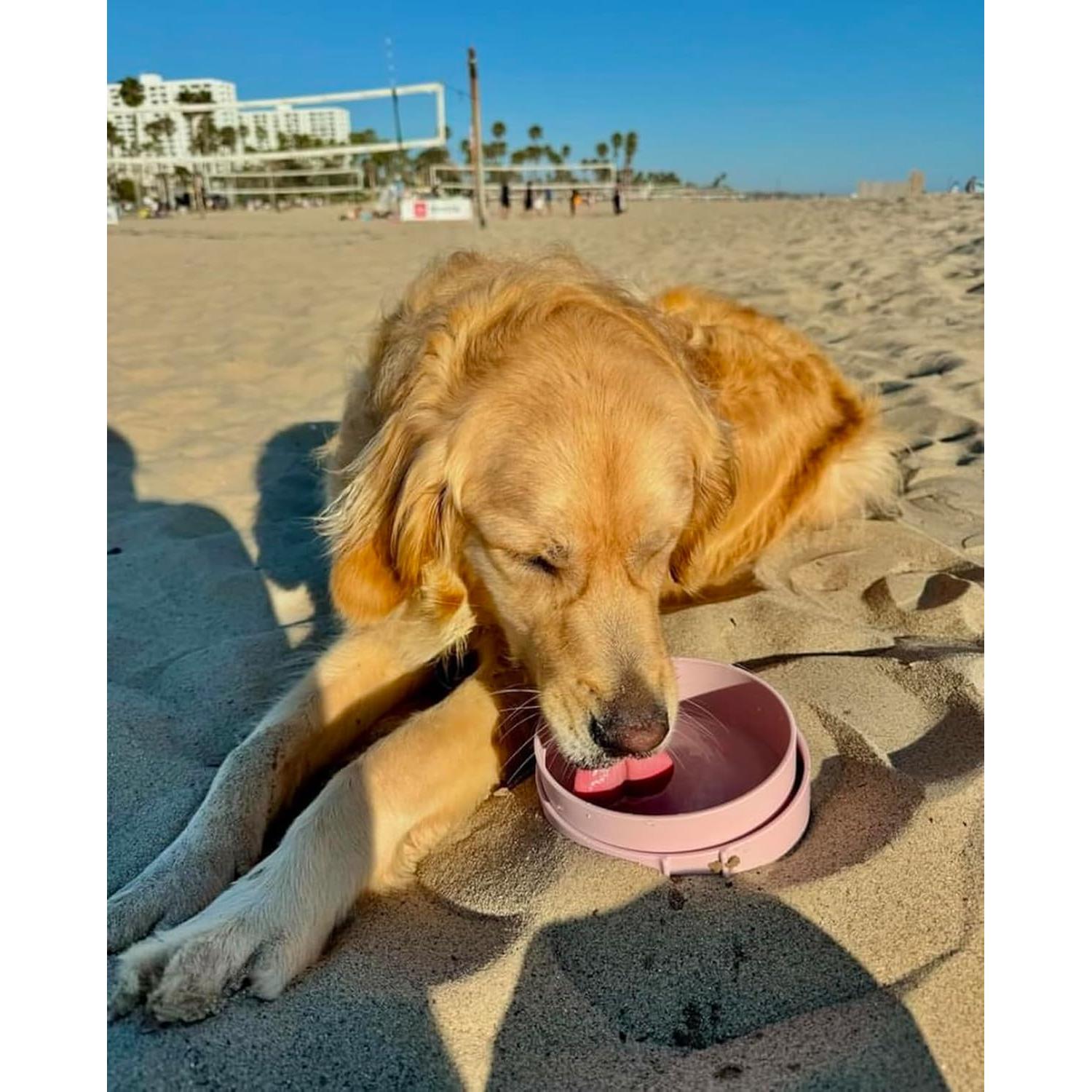 Tazones de viaje para perros Barkin' Trails 2 en 1 BPA Free