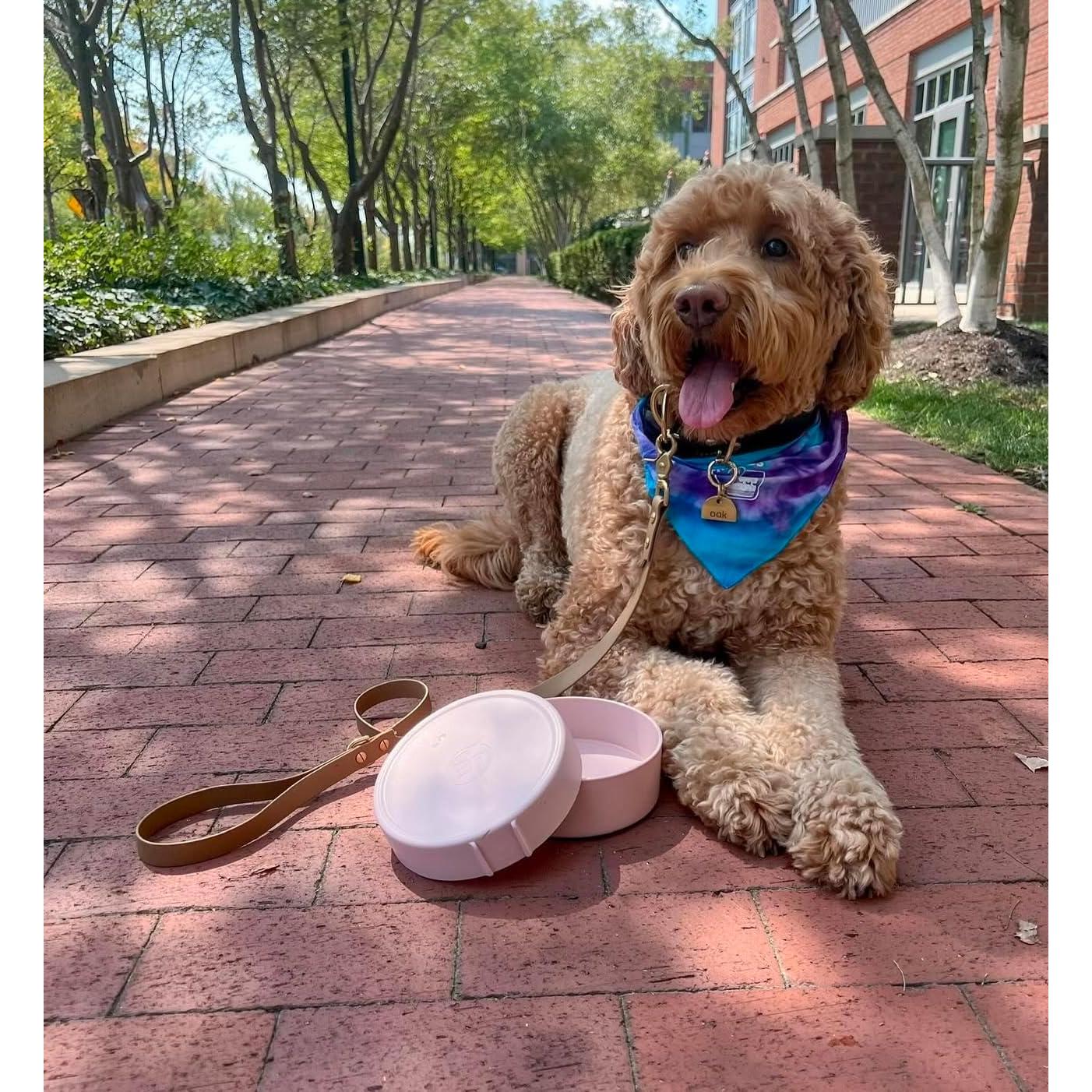 Tazones de viaje para perros Barkin' Trails 2 en 1 BPA Free