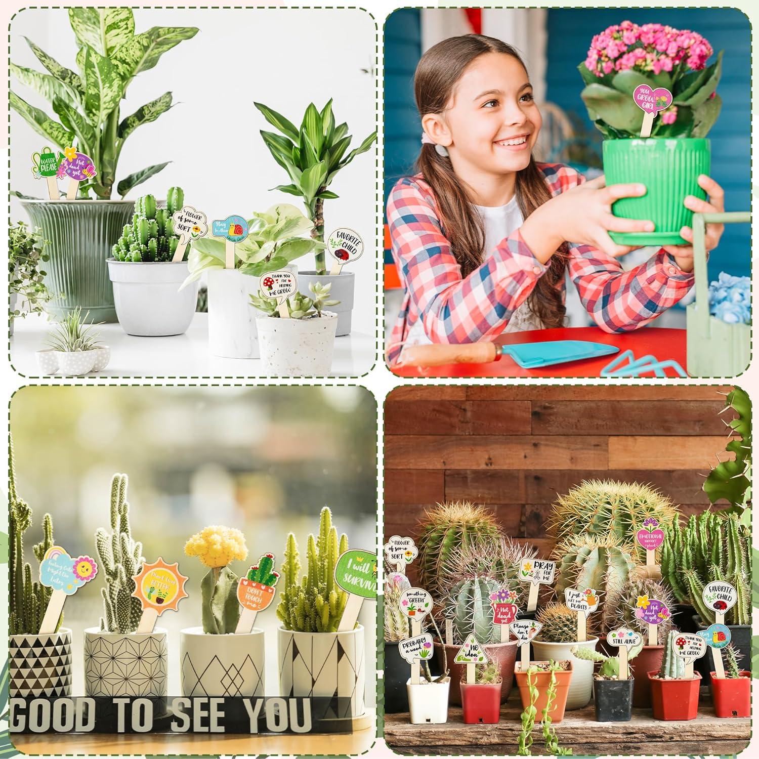 20 Etiquetas de Madera para Plantas WATINC - Jardinería