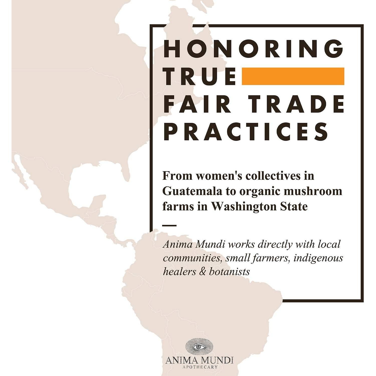 Elixir Detox Líquido Anima Mundi 59.15ml - Suplemento Natural